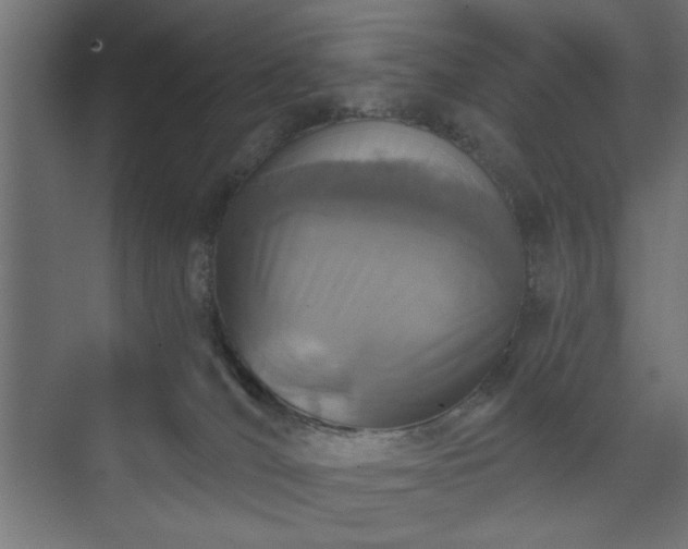 X0000073830036200608170952