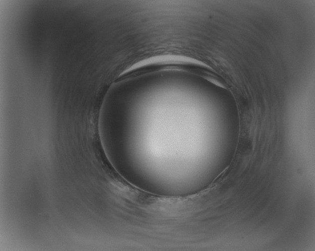 X0000073830037200608170952