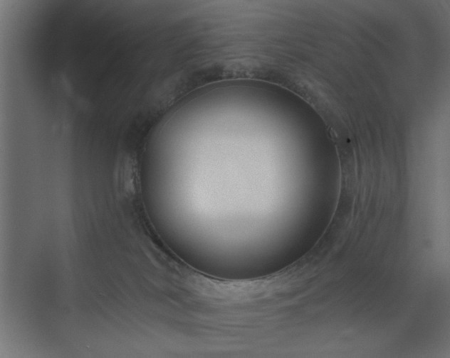 X0000073830038200608170952