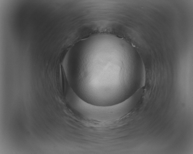 X0000073830039200608170952