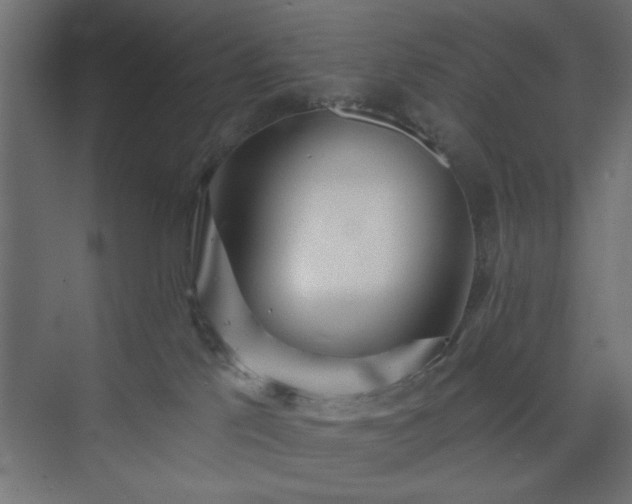 X0000073830041200608170952