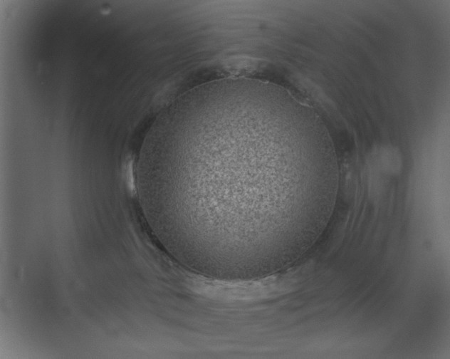 X0000073830042200608170952