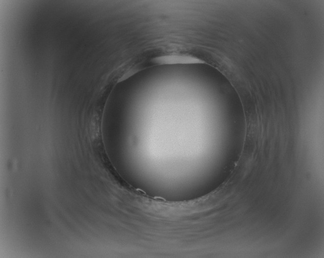 X0000073830043200608170952