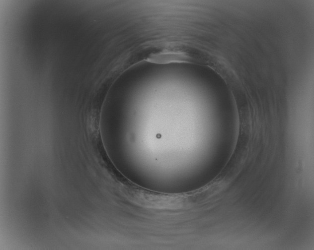 X0000073830044200608170952