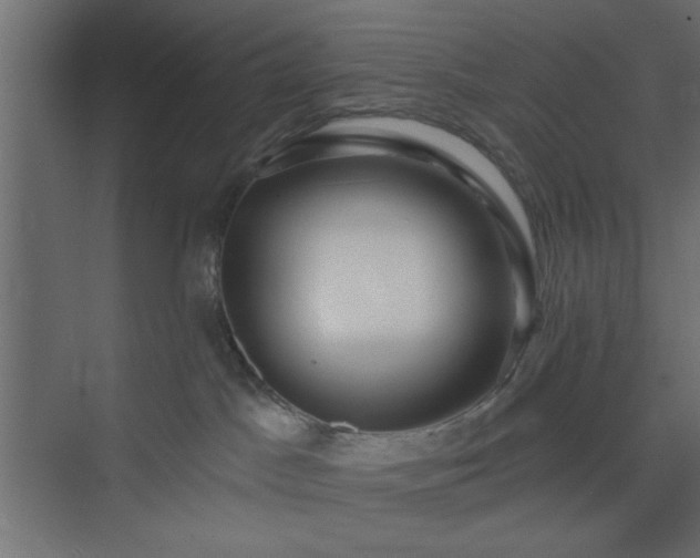 X0000073830045200608170952