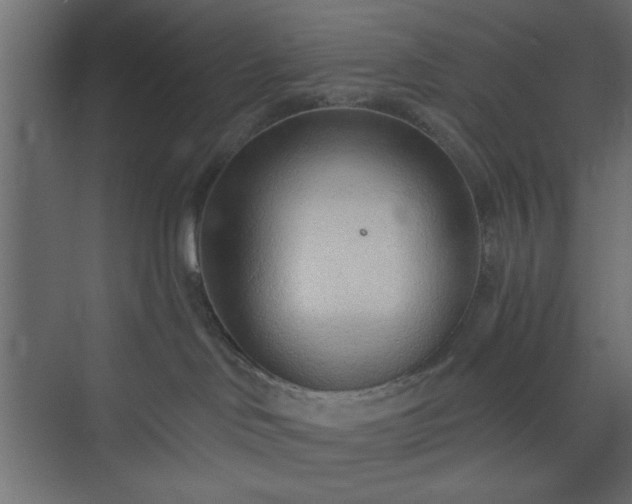 X0000073830046200608170952