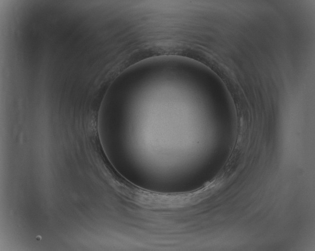 X0000073830048200608170952