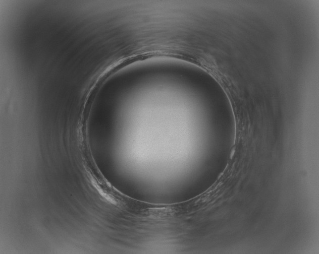 X0000073830050200608170951