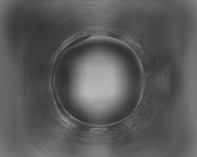 X0000073830051200608170951