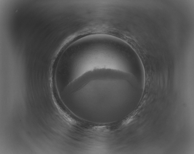 X0000073830054200608170951