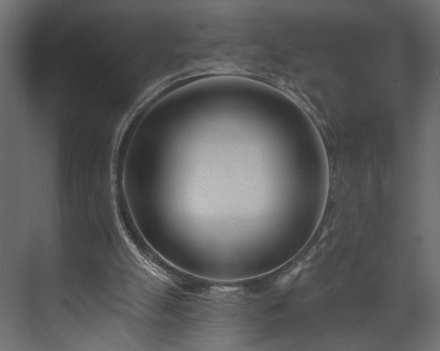 X0000073830055200608170951