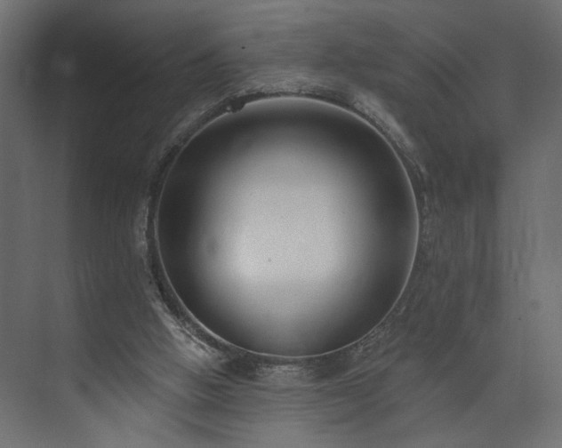 X0000073830058200608170951