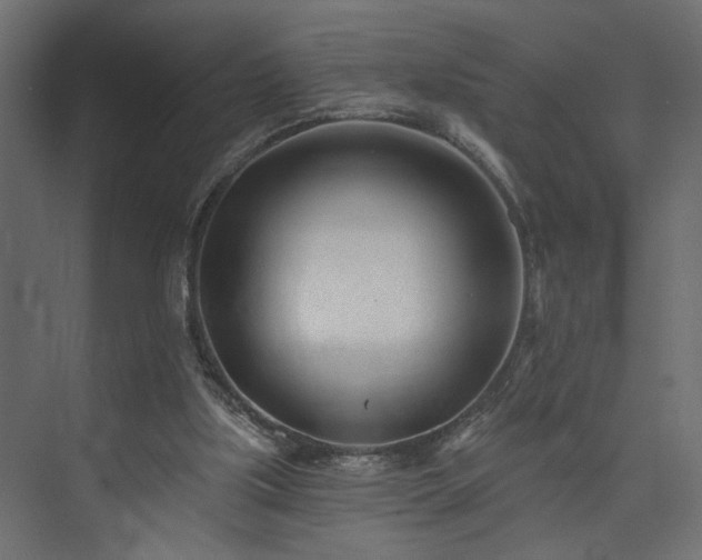 X0000073830059200608170951