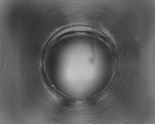 X0000073830060200608170951