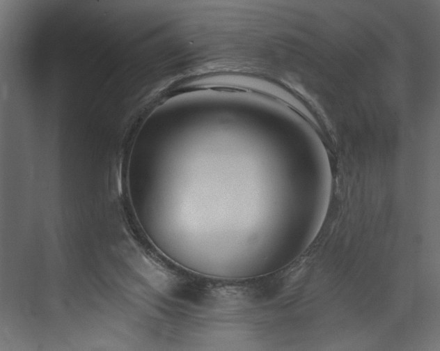 X0000073830062200608170951