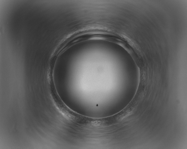 X0000073830064200608170952