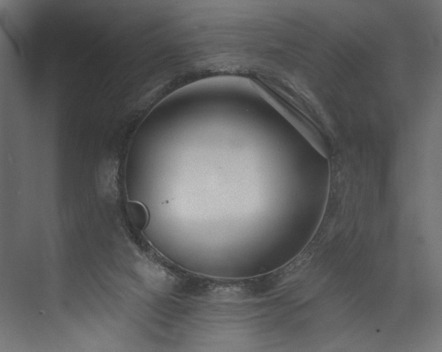 X0000073830066200608170952