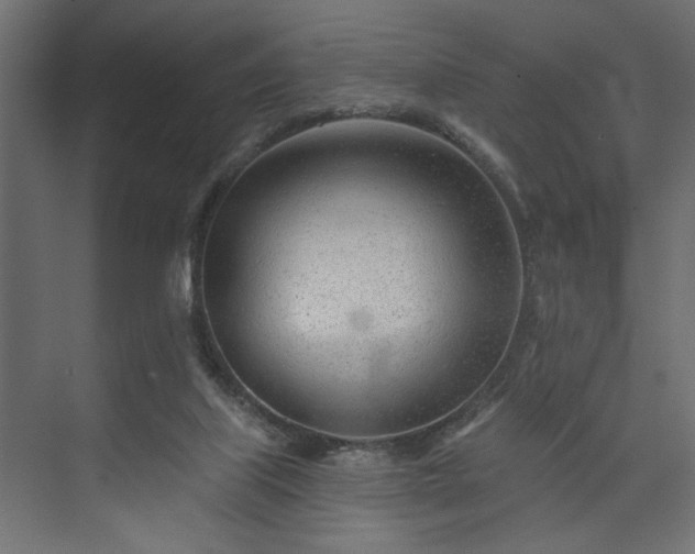 X0000073830067200608170952