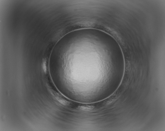 X0000073830069200608170952