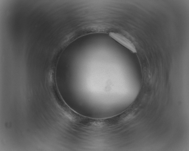 X0000073830071200608170952