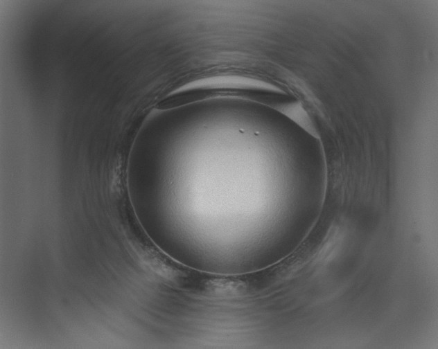 X0000073830073200608170952