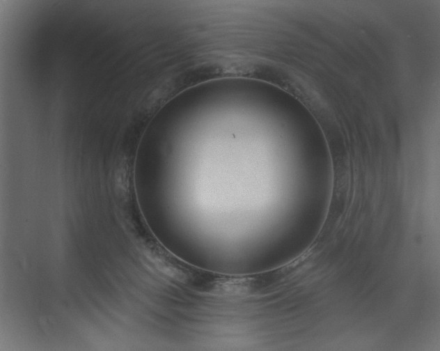 X0000073830078200608170952