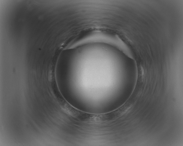 X0000073830080200608170952