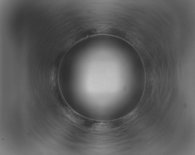 X0000073830082200608170952