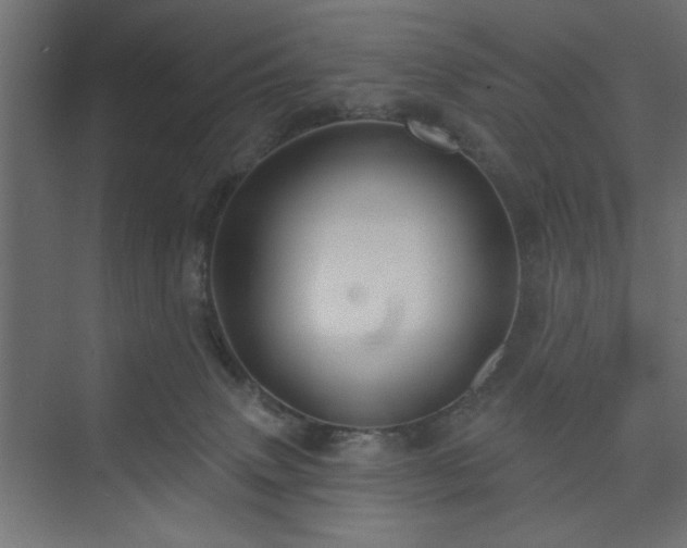 X0000073830083200608170952