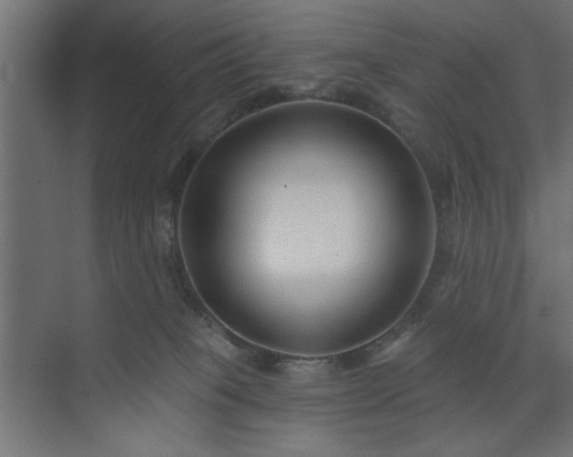 X0000073830085200608170952