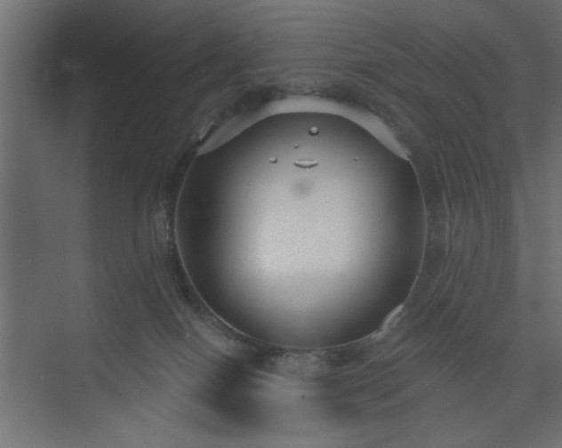 X0000073830086200608170952