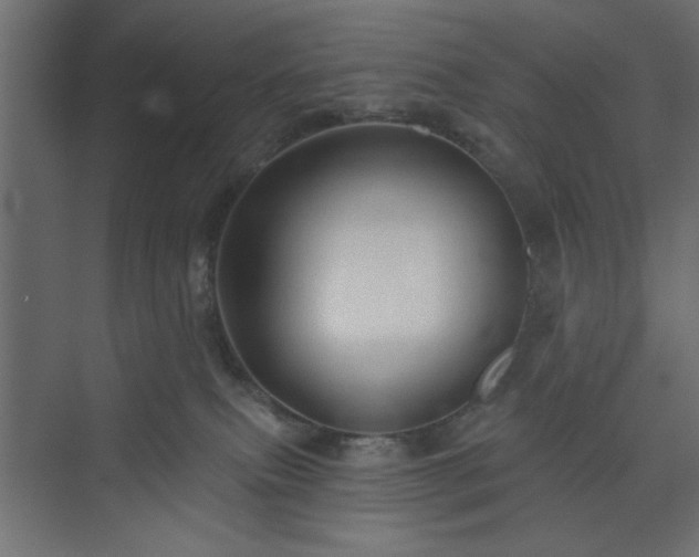 X0000073830087200608170952