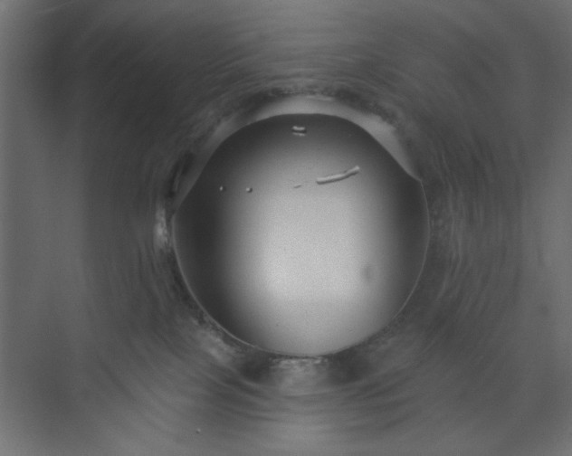 X0000073830089200608170952