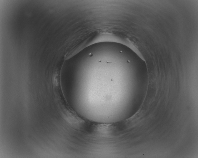 X0000073830090200608170952