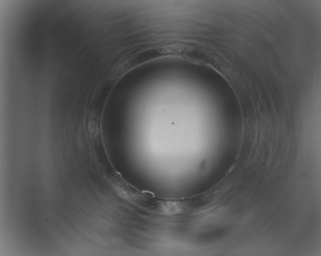 X0000073830091200608170952