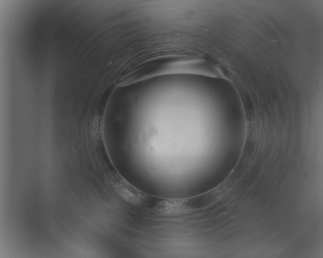 X0000073830093200608170952