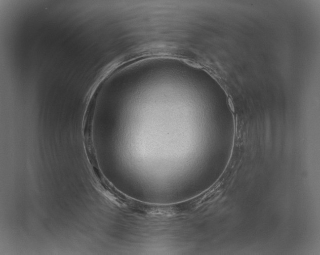 X0000073830099200608170951