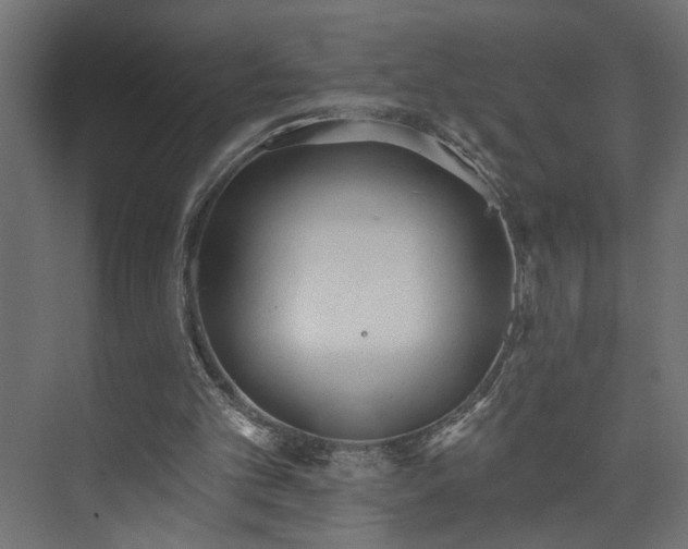 X0000073830101200608170951