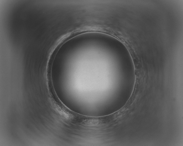 X0000073830104200608170951