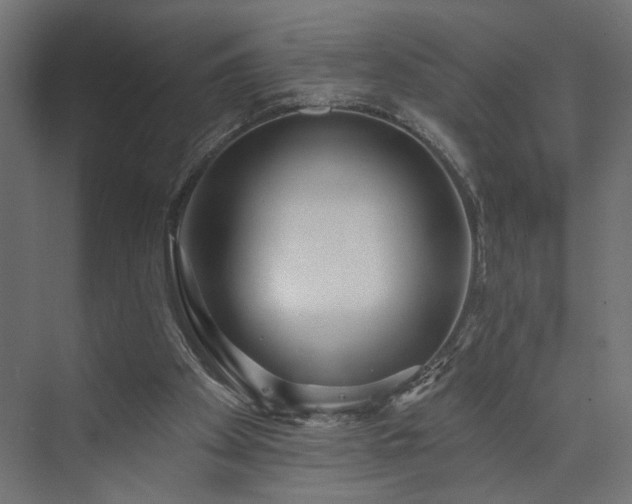 X0000073830105200608170951