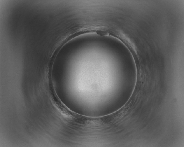 X0000073830107200608170951