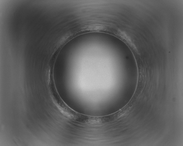 X0000073830110200608170951