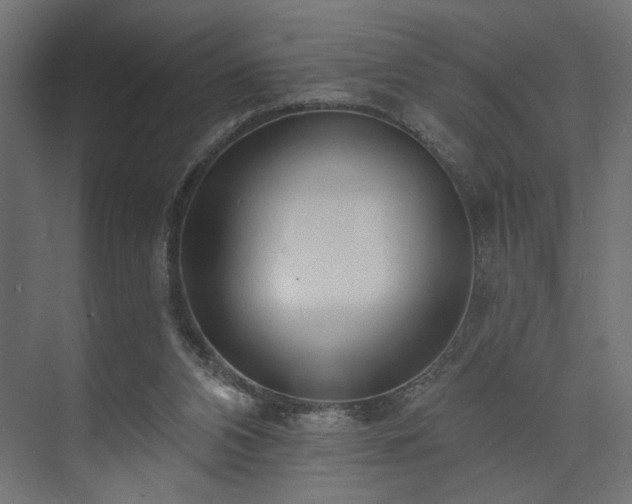 X0000073830112200608170951