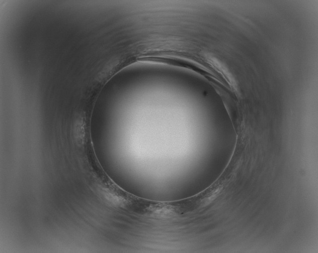 X0000073830113200608170951