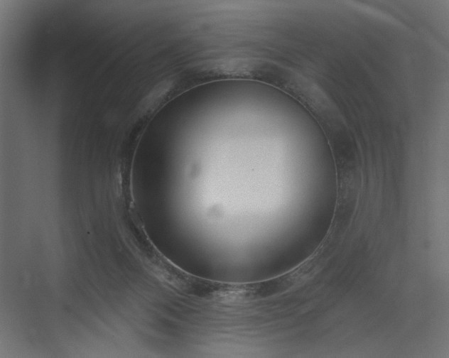 X0000073830120200608170951