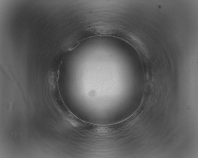 X0000073830121200608170951