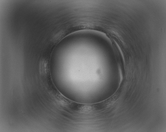 X0000073830123200608170951