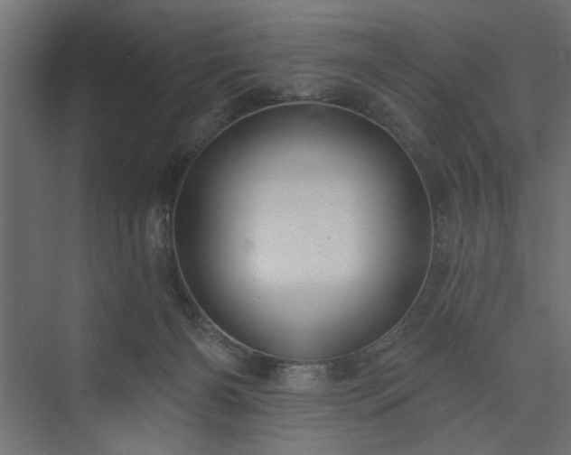 X0000073830126200608170951