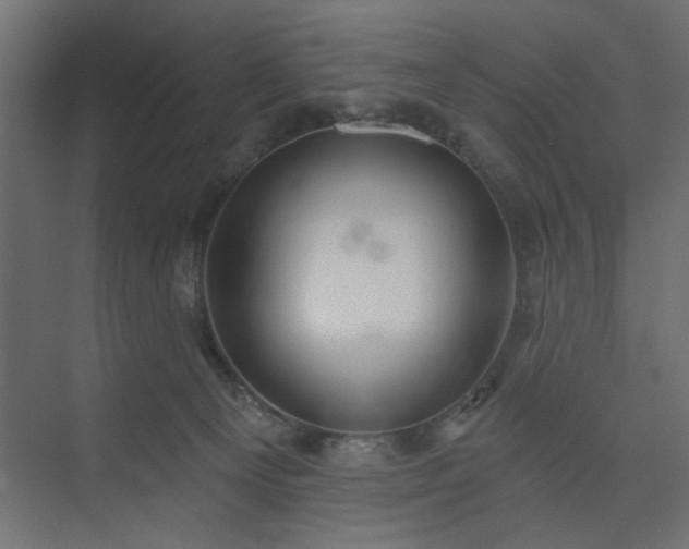 X0000073830129200608170951