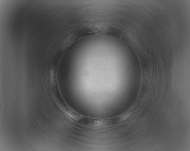 X0000073830130200608170951